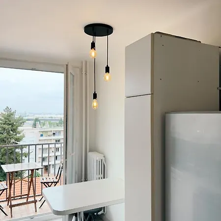 Appartement Spacieux Avec Balcon Saint-Fons Extérieur photo